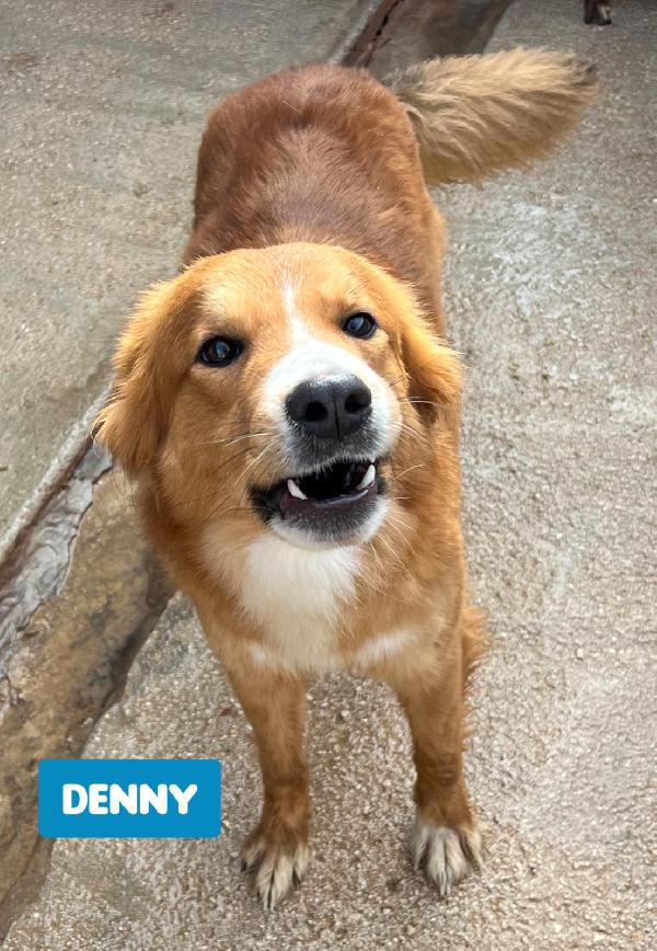 CAGNOLINI METICCI Foto 3