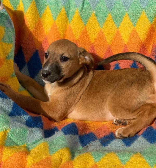 Freccia 2 mesi e mezzo di dolcezza  Foto 2