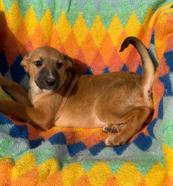 Freccia 2 mesi e mezzo di dolcezza  Foto 6