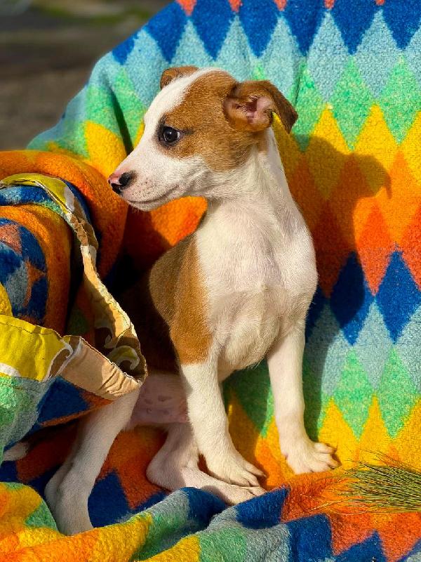 Donato...2 mesi Foto 5