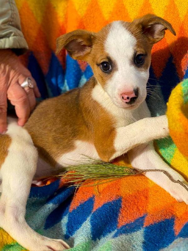 Donato...aspetta te da due mesi Foto 3