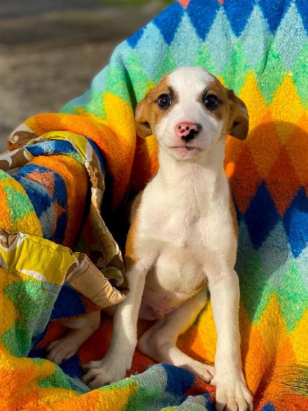 Donato...aspetta te da due mesi Foto 4