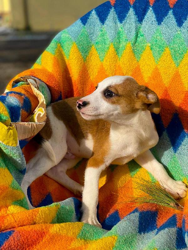 Donato...aspetta te da due mesi Foto 5