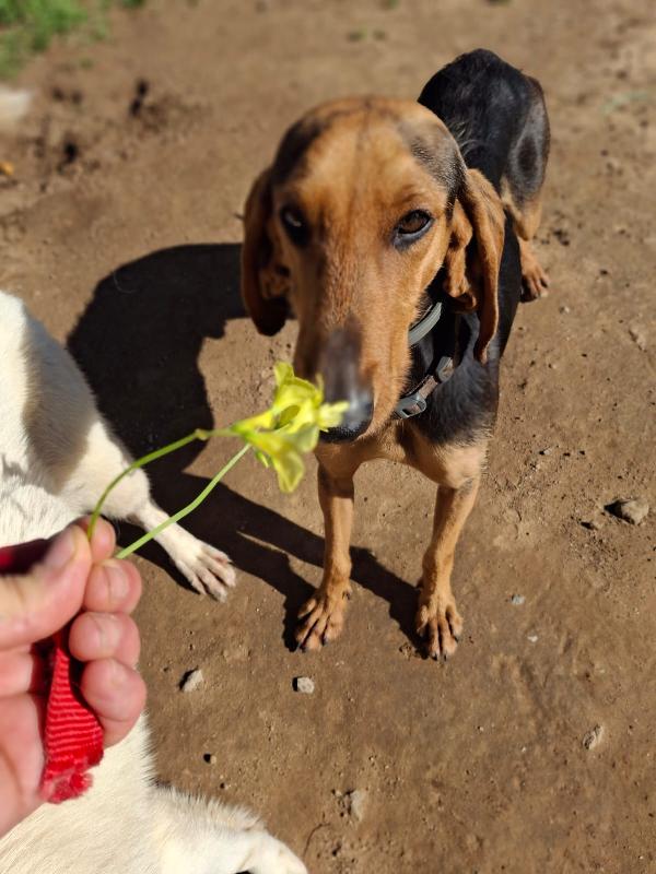 Bobo... Aspetta un lieto fine Foto 5