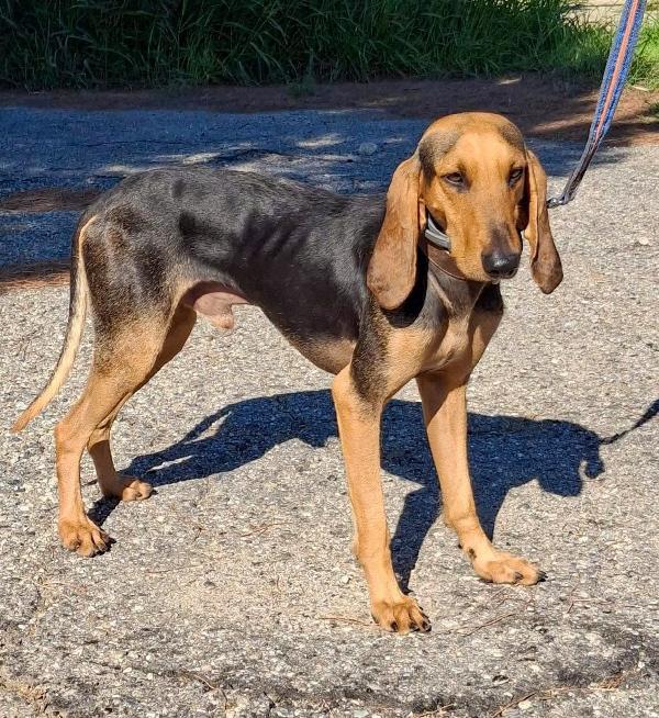 Bobo... Aspetta un lieto fine Foto 8