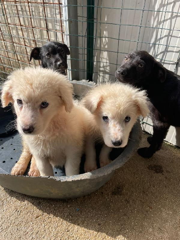 FREYA ASPETTA TE Foto 2