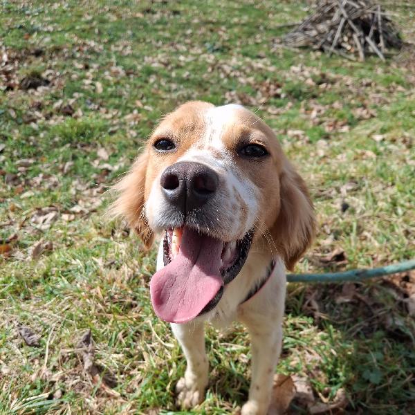 Berto 1 Anno Tg Media