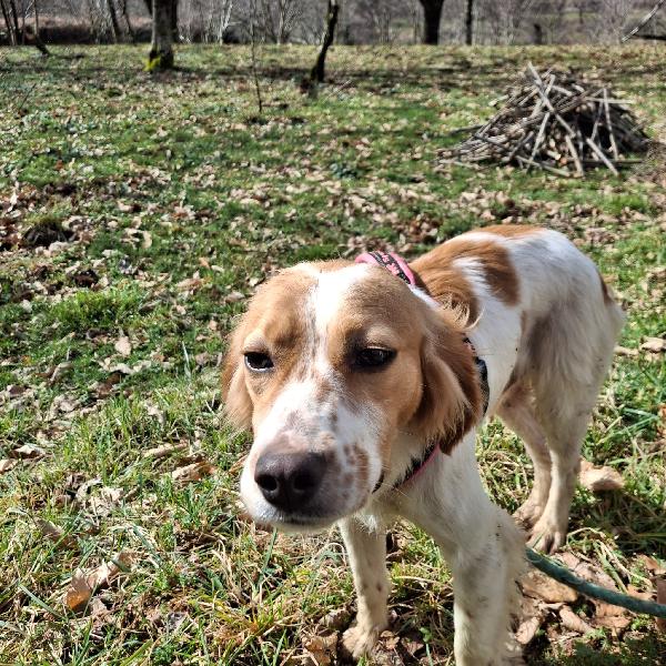 Berto 1 anno tg media Foto 2