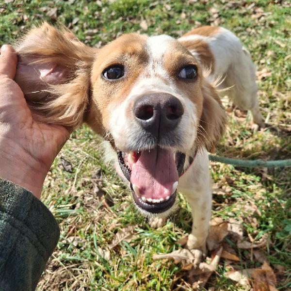 Berto 1 anno tg media Foto 3