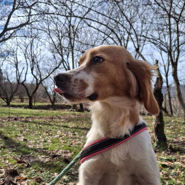 Berto 1 anno tg media Foto 4