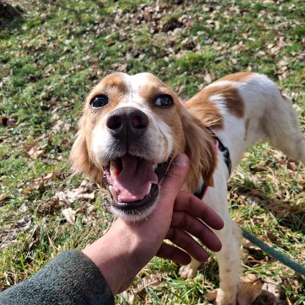 Berto 1 anno tg media Foto 7