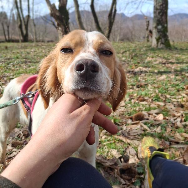 Berto 1 anno tg media Foto 8