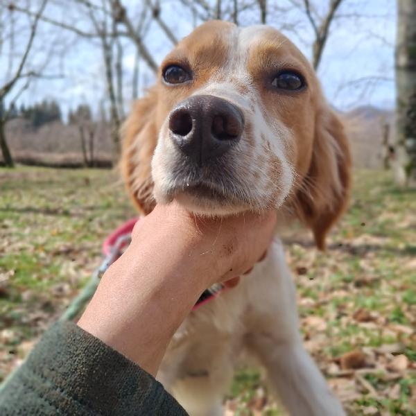 Berto 1 anno tg media Foto 9