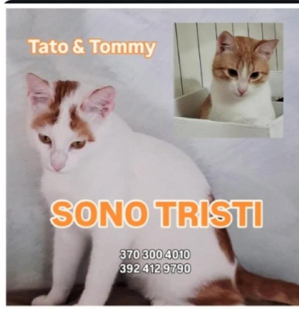 2Mici Bianchi/Rossi 9Mesi Mon Trovano Casa.roma