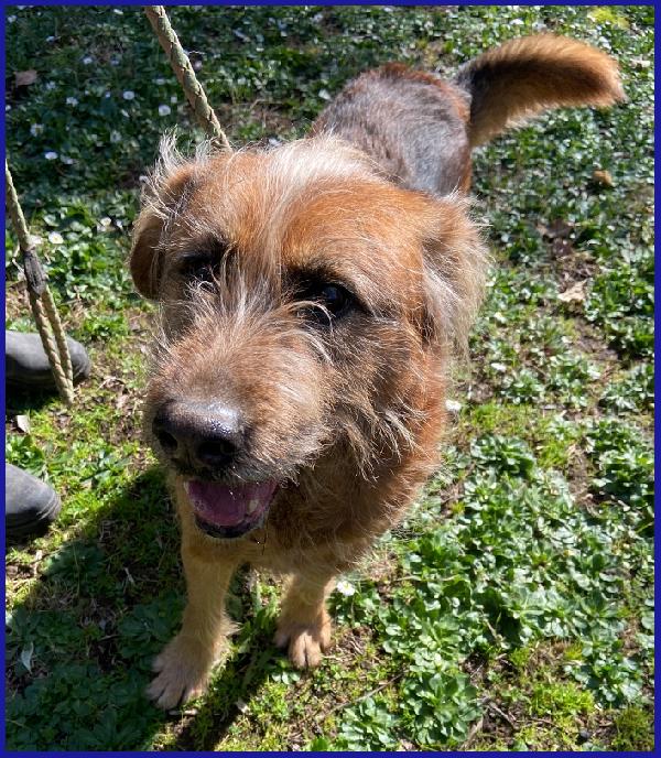 FRED FLINSTONES, SALVATO DA UN CANILE, IL SUO CIUFFO BIONDO CONQUISTA TUTTI! Foto 7