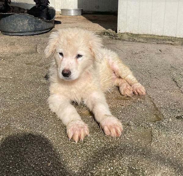 TENERE NUVOLETTE BIANCHE Foto 2