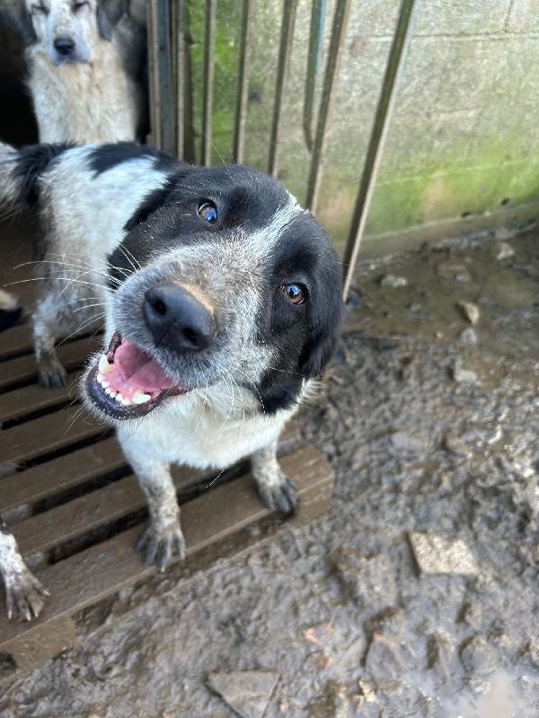 Silvy Splendida Giovanotta Cerca Famiglia 