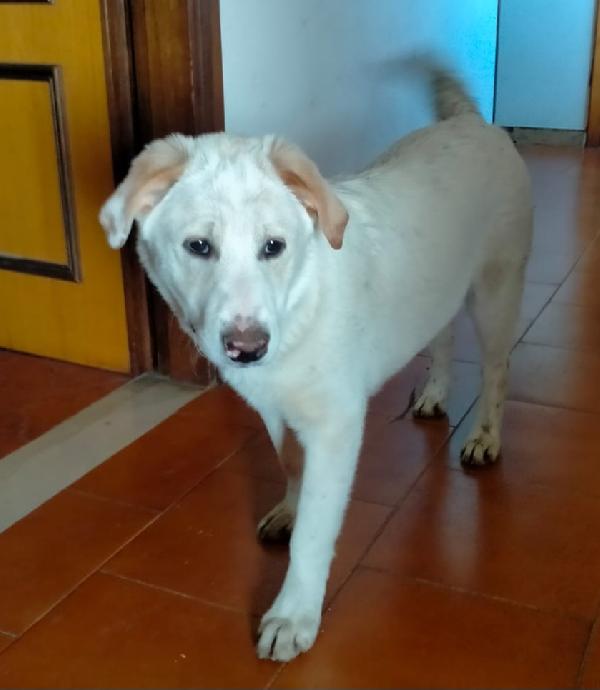 UNA MAMMA PER WILLY Foto 2