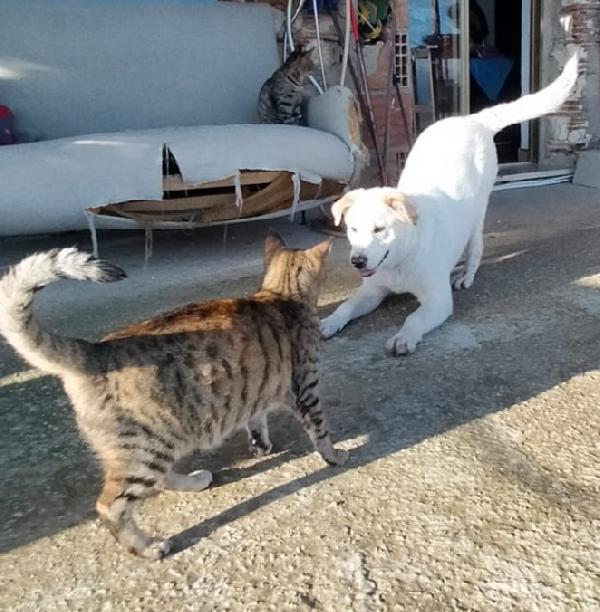 UNA MAMMA PER WILLY Foto 3