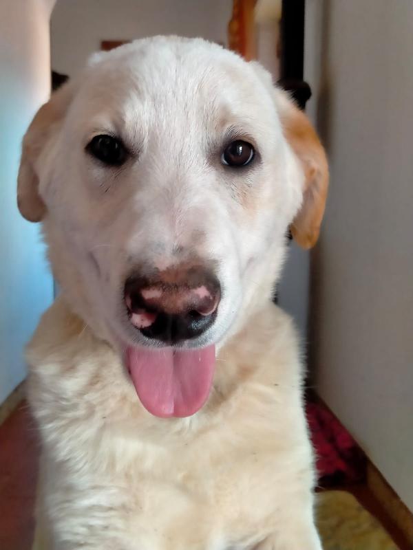 UNA MAMMA PER WILLY Foto 5