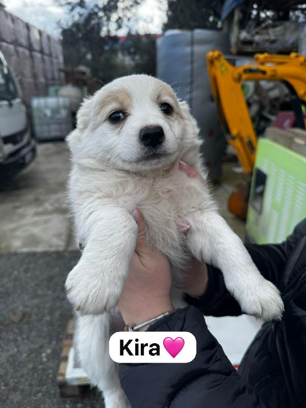 Meraviglie  delle meraviglie 💞💞💞 Foto 2