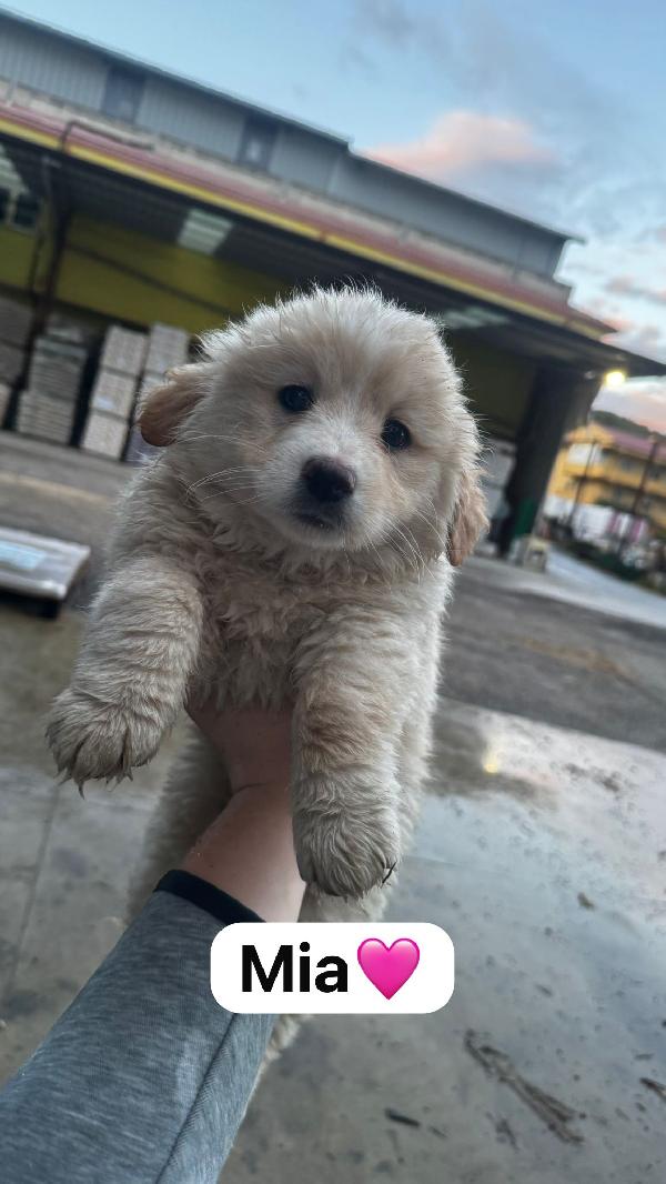 Meraviglie  delle meraviglie 💞💞💞 Foto 3