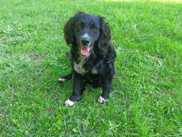 Arturo Abbandonato In Montagna