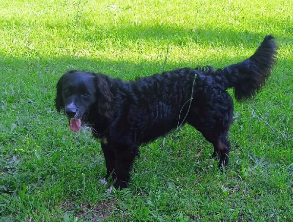 Arturo abbandonato in montagna Foto 2