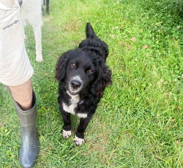 Arturo abbandonato in montagna Foto 3