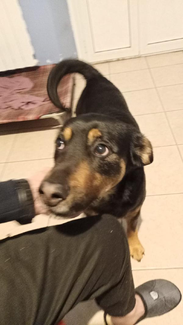 Jack Ed I Suoi Occhioni Tristi 