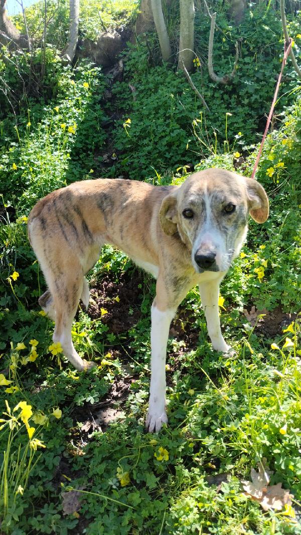 Una Famiglia Per Terry