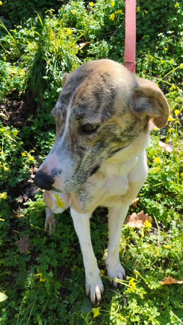 UNA FAMIGLIA PER TERRY Foto 2