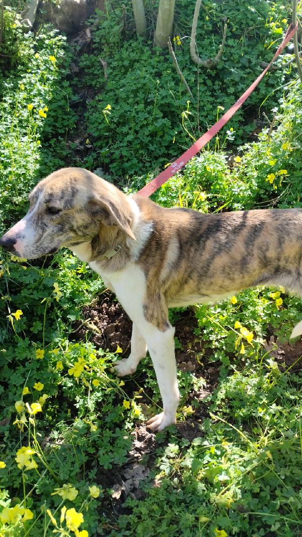 UNA FAMIGLIA PER TERRY Foto 3