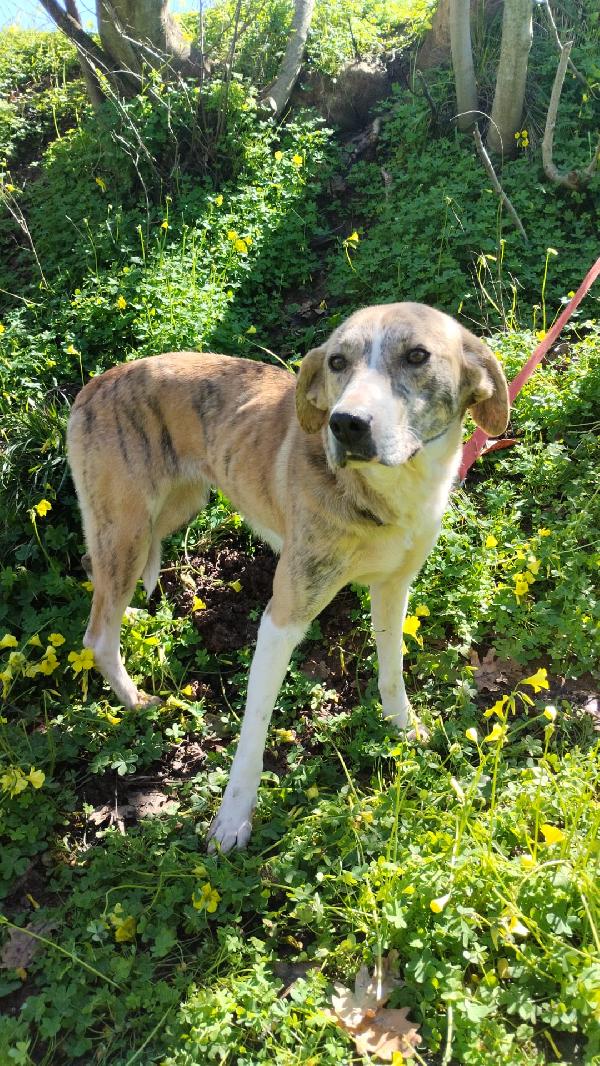 UNA FAMIGLIA PER TERRY Foto 4