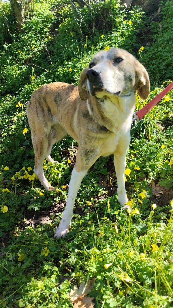 UNA FAMIGLIA PER TERRY Foto 5