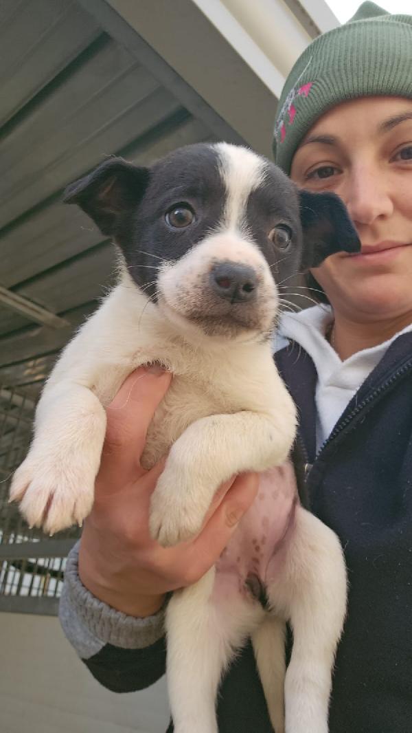 Ponza: 2 Mesi Taglia Contenuta 
