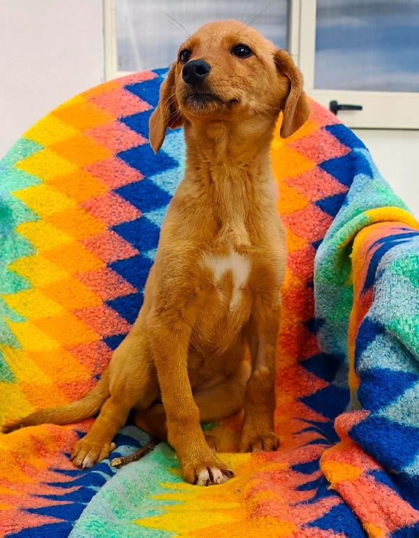 Nocciola🤎🍀 Foto 7