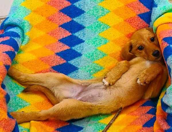 Nocciola🤎🍀 Foto 8