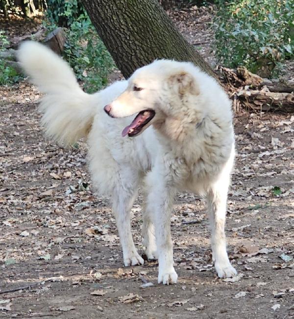 Evita Giovane Tolta Da 1Lager Del Sud.roma