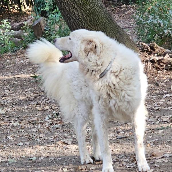 Evita giovane tolta da 1lager del sud.ROMA Foto 2