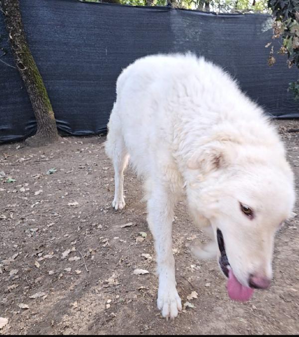 Evita giovane tolta da 1lager del sud.ROMA Foto 3