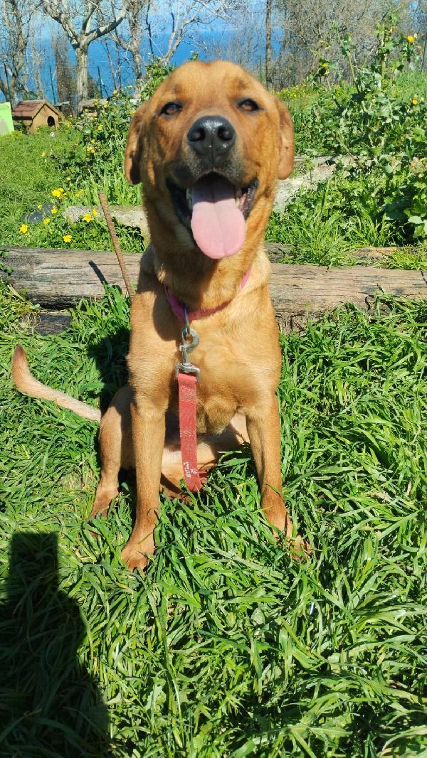 Simon Aspetta Una Mamma 