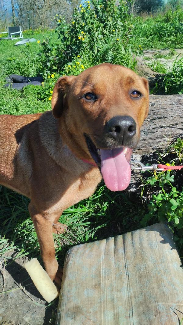 SIMON ASPETTA UNA MAMMA  Foto 2