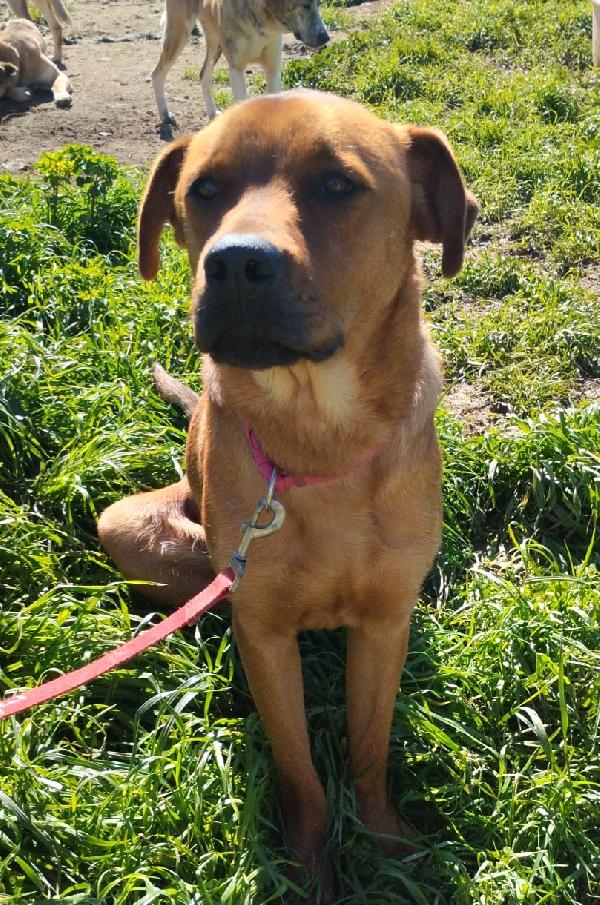 SIMON ASPETTA UNA MAMMA  Foto 5