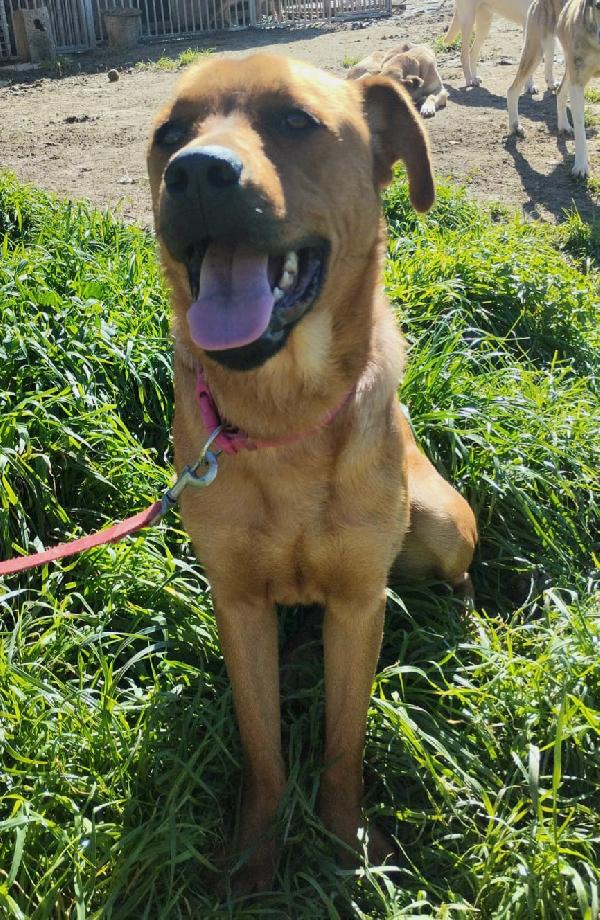 SIMON ASPETTA UNA MAMMA  Foto 6