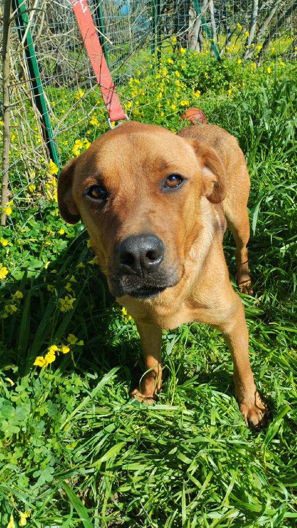 SIMON ASPETTA UNA MAMMA  Foto 7