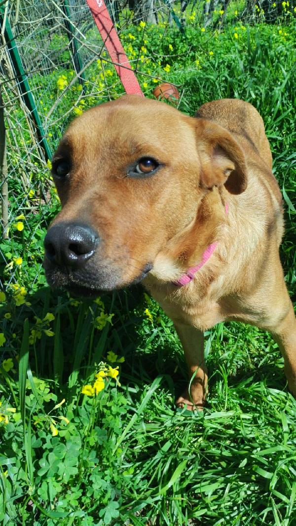 SIMON ASPETTA UNA MAMMA  Foto 8