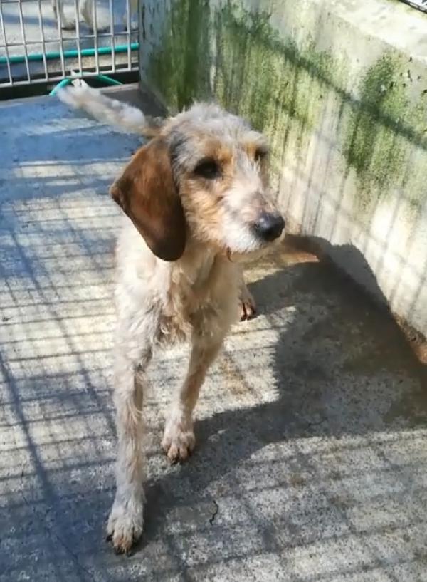 UNA MAMMA PER IVY Foto 4