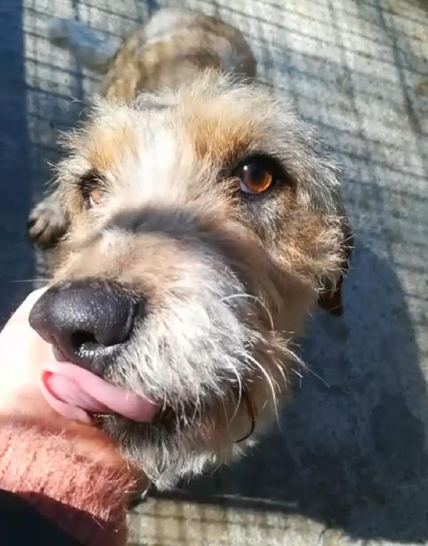 UNA MAMMA PER IVY Foto 5