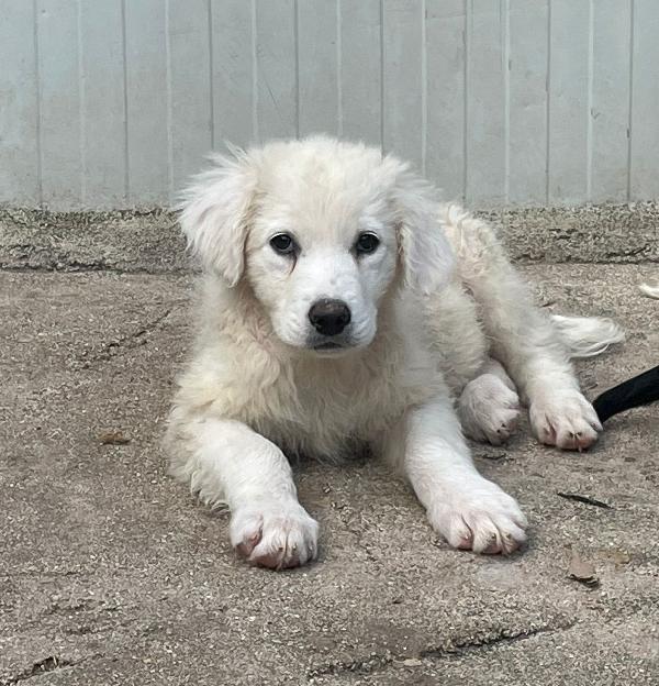 LA SPLENDIDA FREYA Foto 4